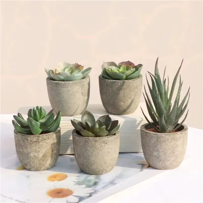 Mini plantes artificielles à l'aloe vera