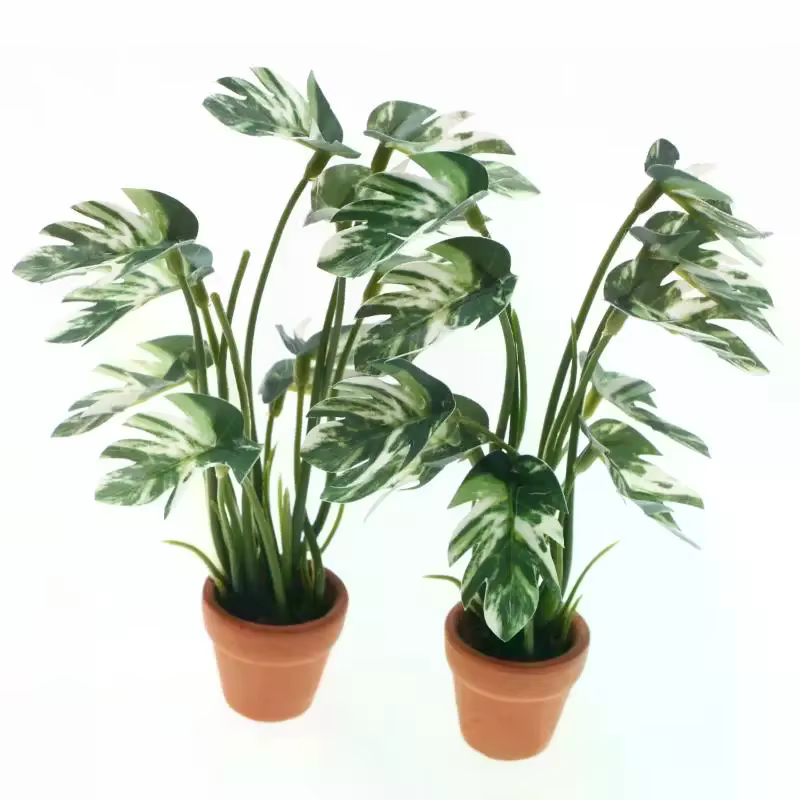Plante verte Monstera en pot pour maison de poupée 1/12