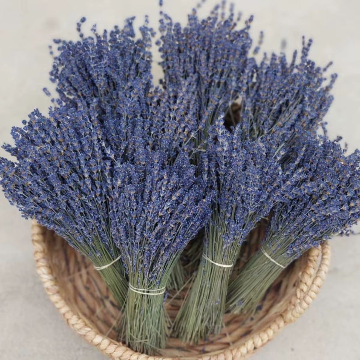 Mèches de fleurs de lavande séchées naturelles