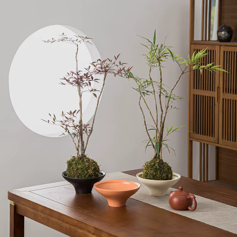 Nouveau pot de fleurs tendance pour orchidées papillon