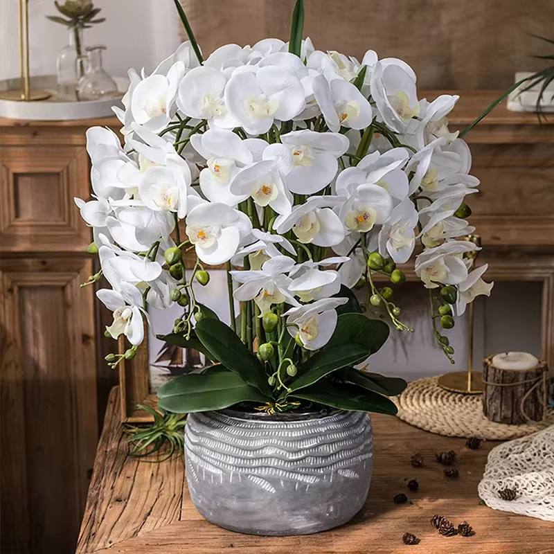 Fleurs artificielles phalaenopsis
