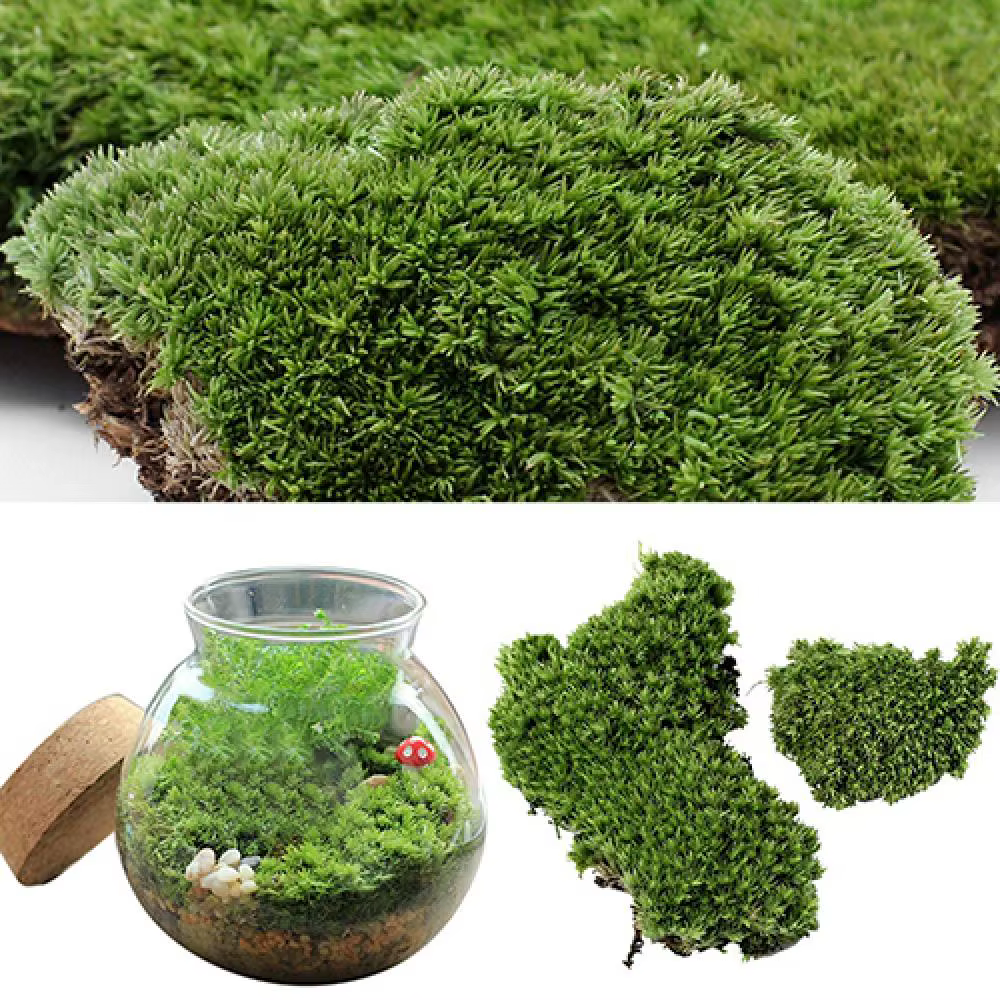 Plante verte artificielle en mousse d'ange