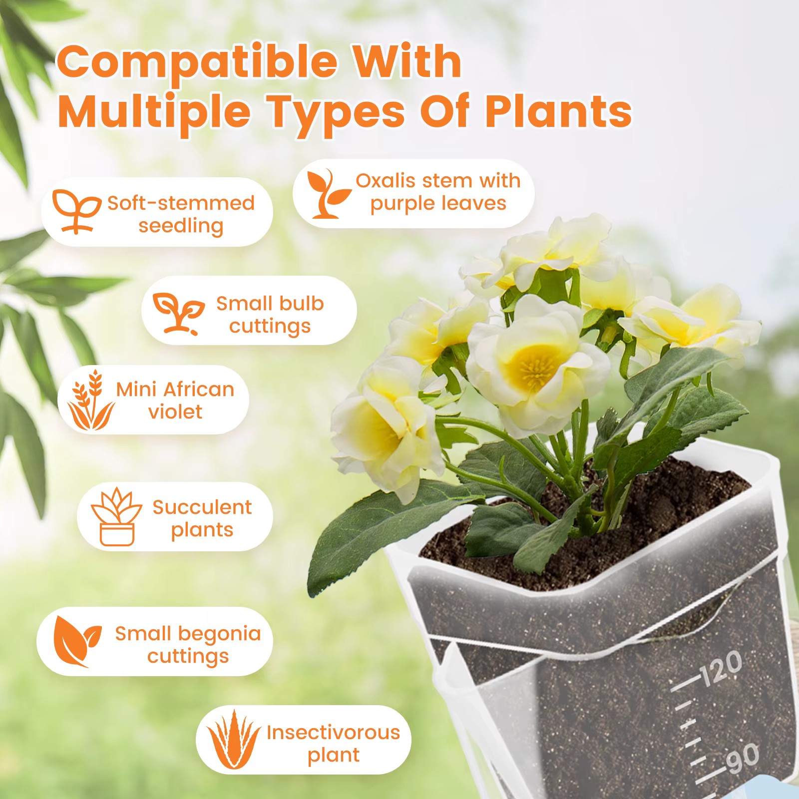 12 pots de plantes auto-arrosants transparents à double couche en plastique avec trous de drainage et corde en coton