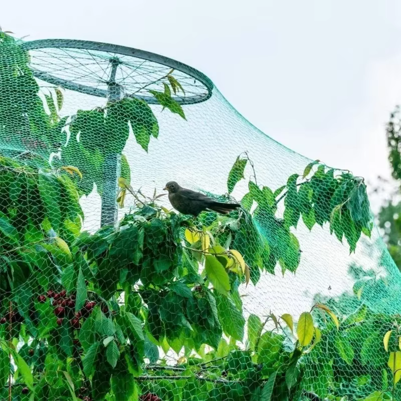 Filet anti-oiseaux pour jardin