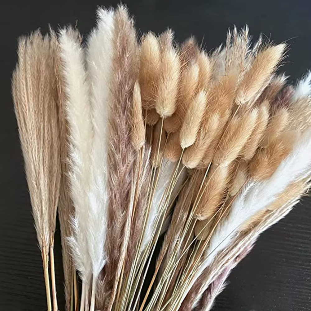 100 pièces/lot crème Pampas herbe moelleux chambre Phragmites décoration naturel lapin queue