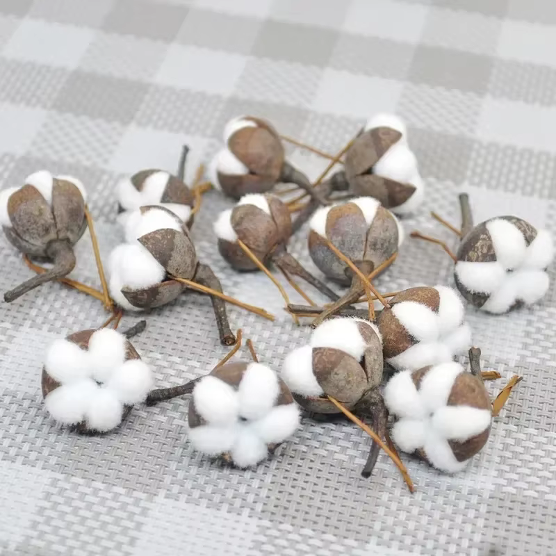 Fleurs naturelles séchées en coton Él