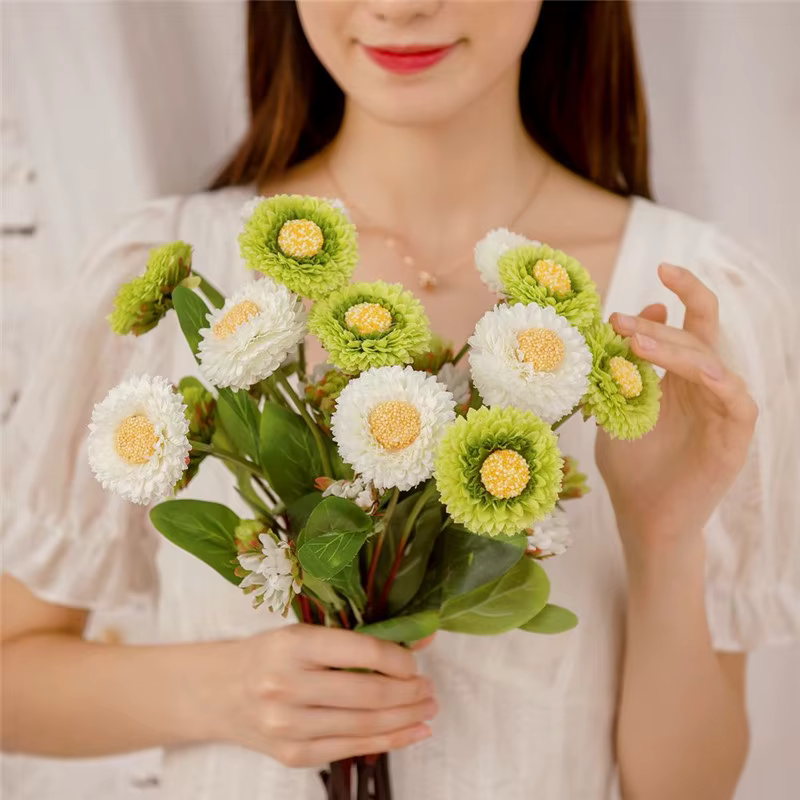 Chrysanthème à branche unique