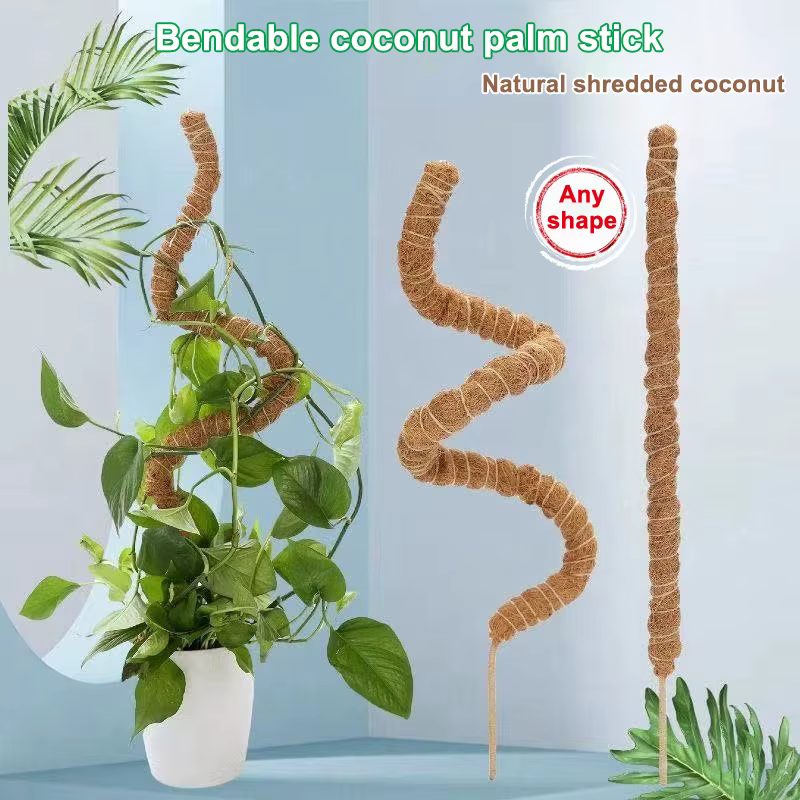 1 pièces poteaux de mousse pour plantes Monstera piquets