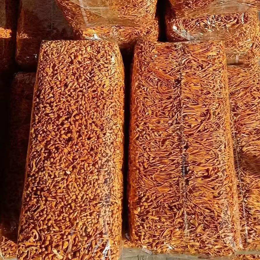 Fleur de Cordyceps séchée naturelle de qualité supérieure pour la fabrication de savon DIY