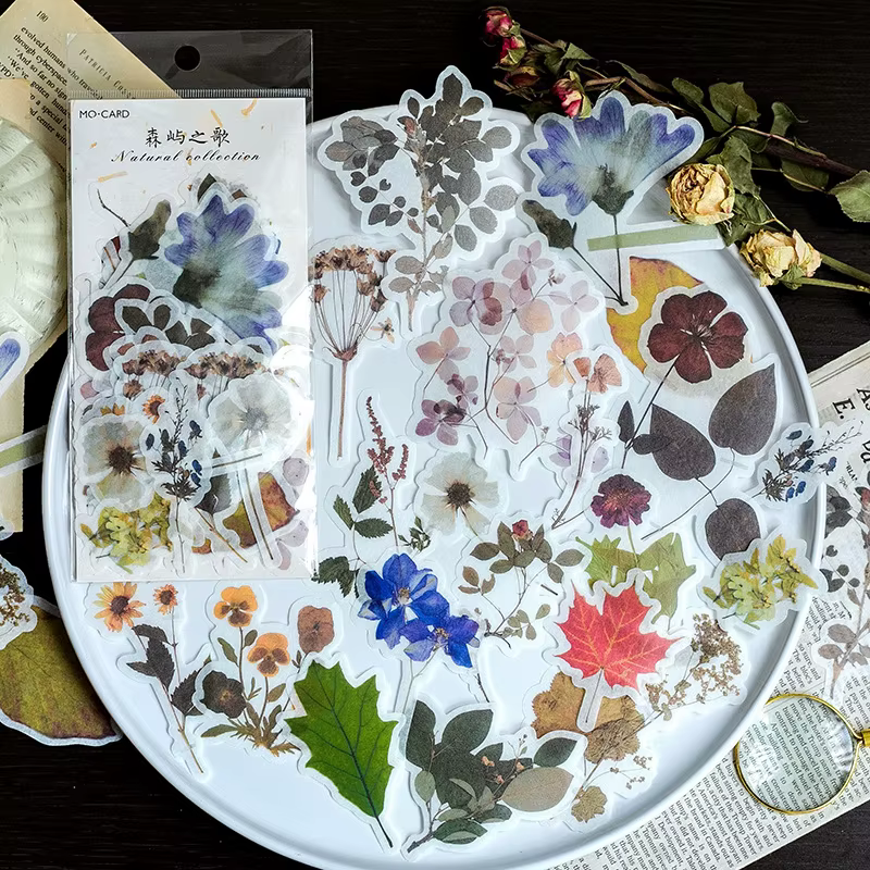 1 paquet/60 autocollants Washi vintage sur le thème de la nature et des plantes