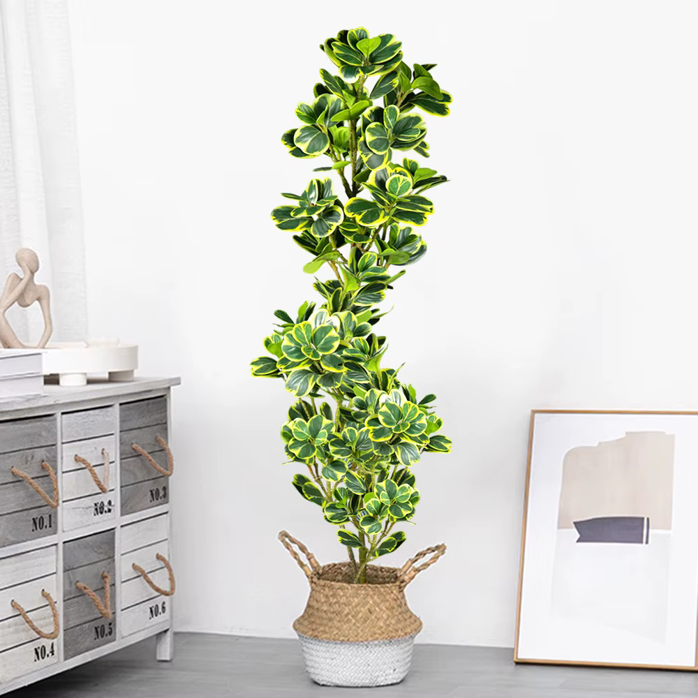 Arbre Ficus artificiel 76cm/115cm