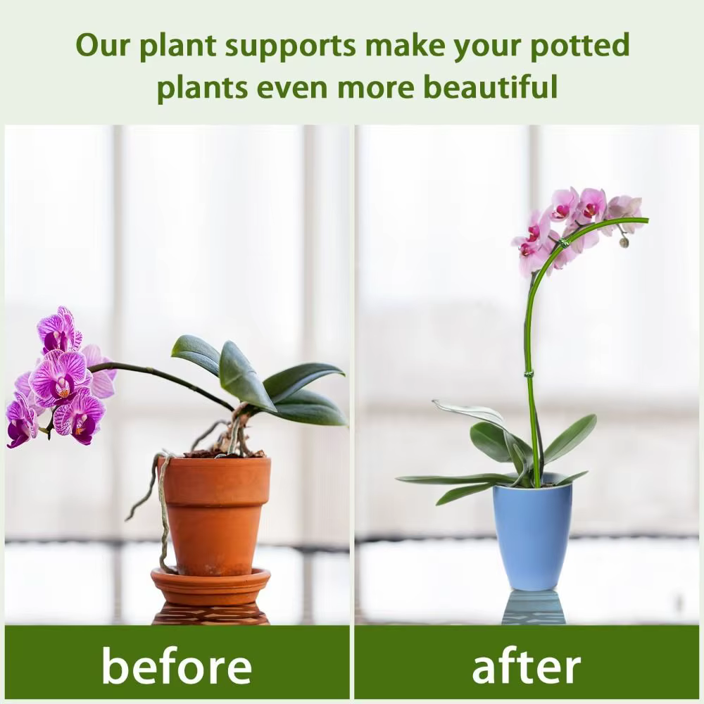 Bâtons de plantes à tige unique