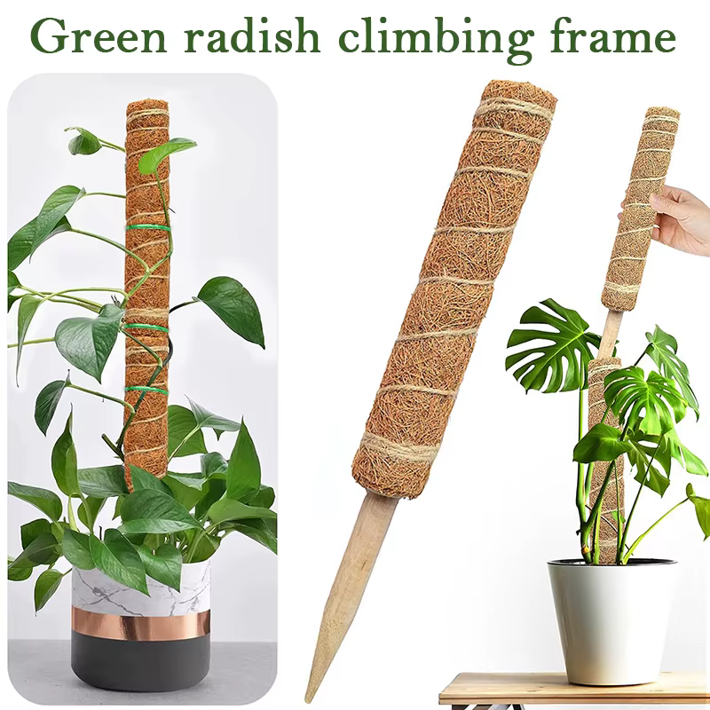 Poteau Totem en coco pour plantes grimpantes
