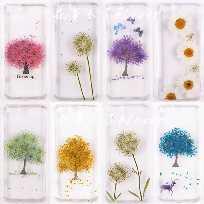100 pièces pressées séchées 15-20mm Ammi Majus fleurs plante herbier pour bijoux carte postale