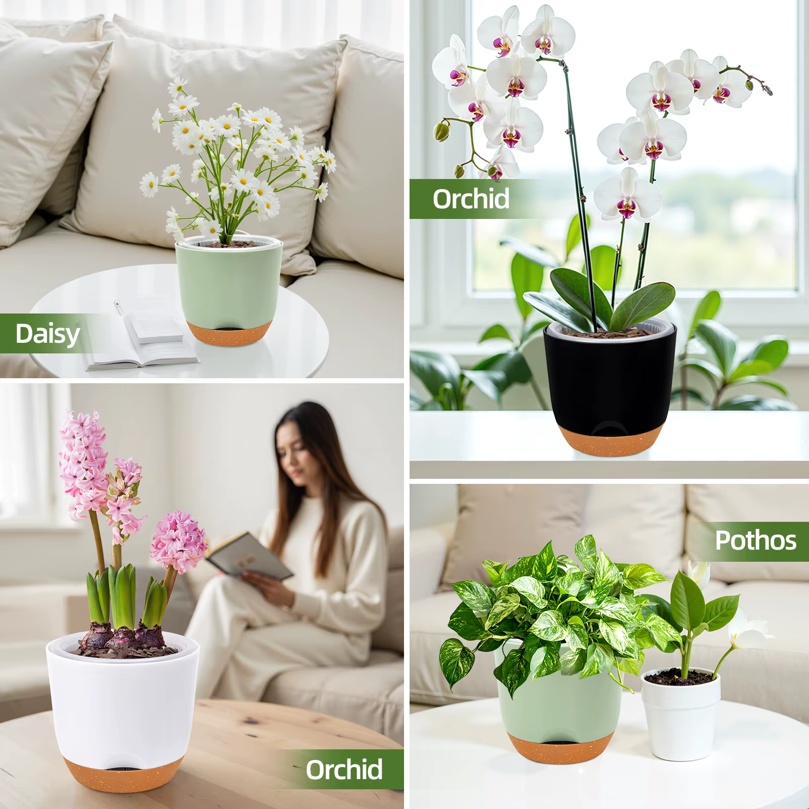 Pots à orchidées avec trous