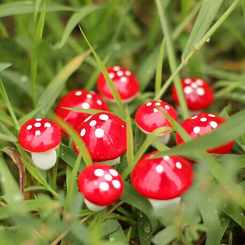 Mini plante bonsaï en pot rouge pour décoration de jardin