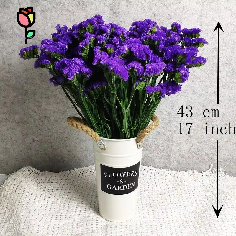 120g fleurs séchées naturelles oubliez-moi pas Bouquets décoration de mariage