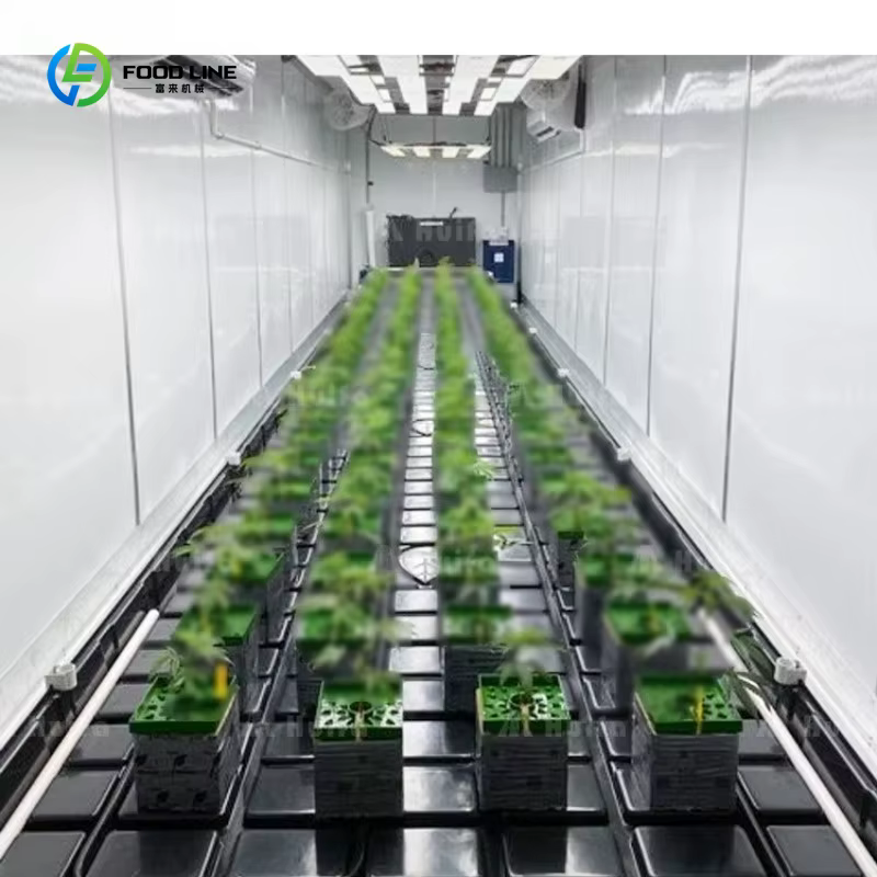 Serre conteneurisée entièrement automatisée pour la culture de micro-légumes en Thaïlande