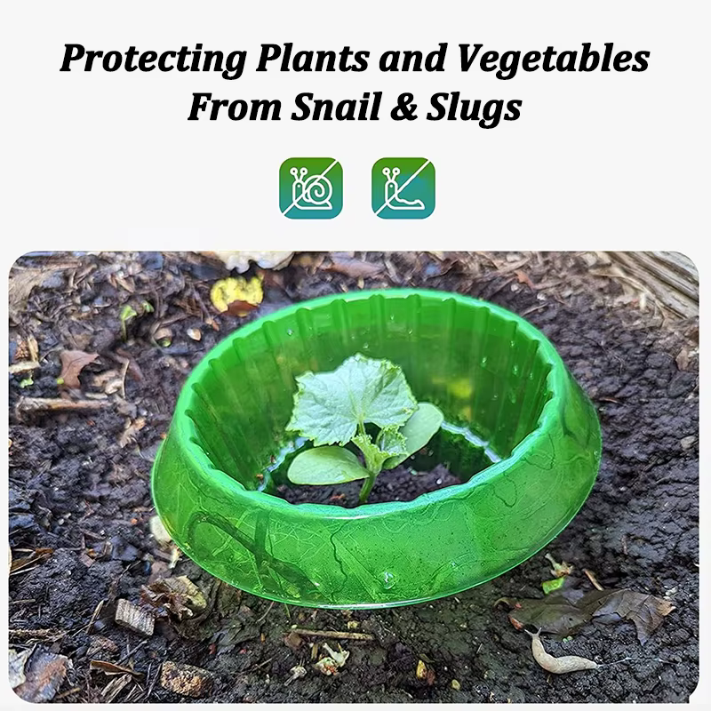Protège-légumes réutilisables : Colliers anti-limaces et anti-vermicelles pour plantes de jardin