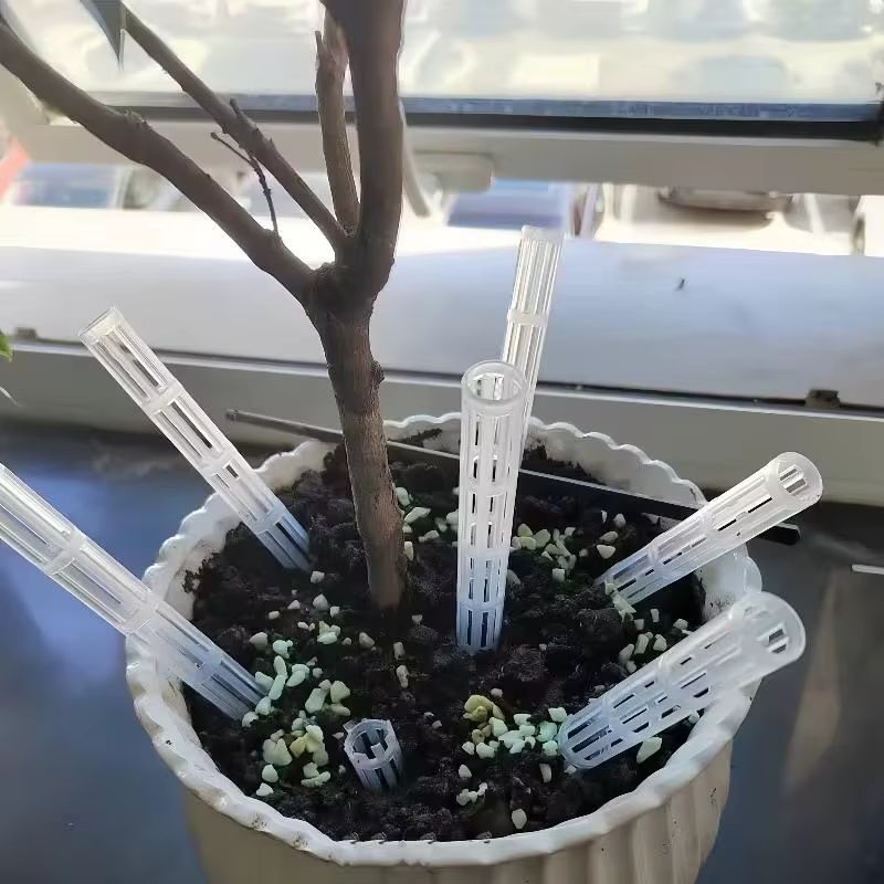 Solution contre l'excès d'eau! Tubes d'aération pour plantes