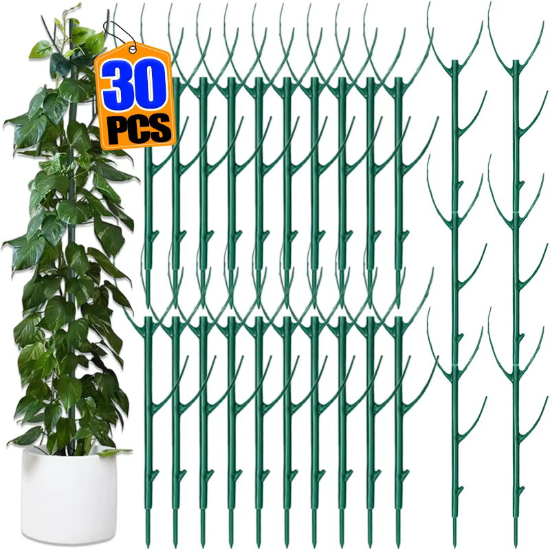 Piquet de Support pour plantes grimpantes