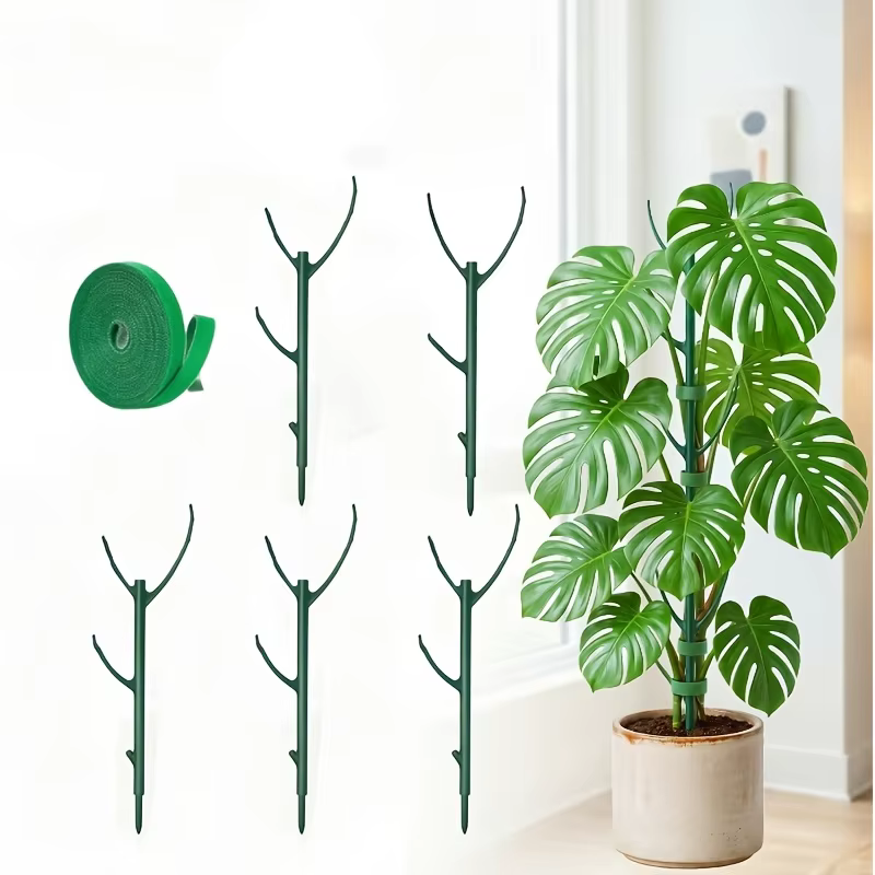 Lot de 6 supports pour plantes Monstera
