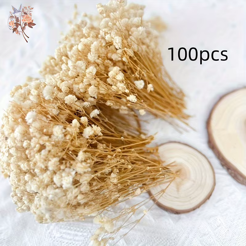 100 mini-fleurs séchées de gypsophile naturelles pour bricolage