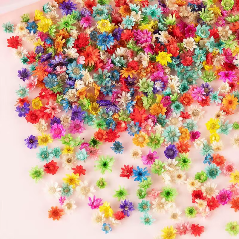 1 boîte de petites fleurs séchées colorées