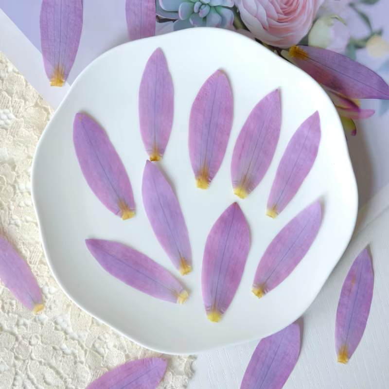 Pétales de fleurs de nénuphar séchées