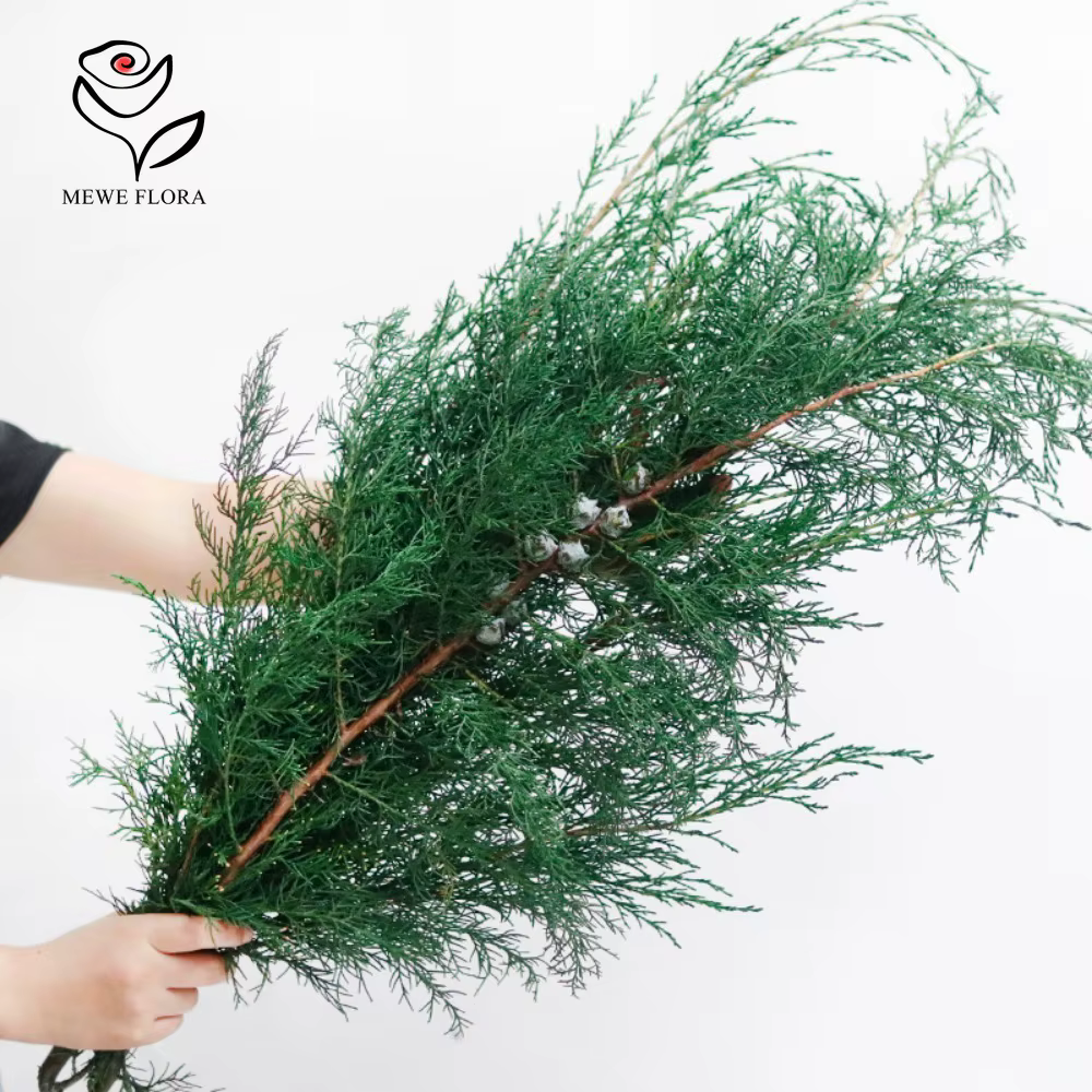 Fleurs Éternelles vaccées pour Arbre de Noël
