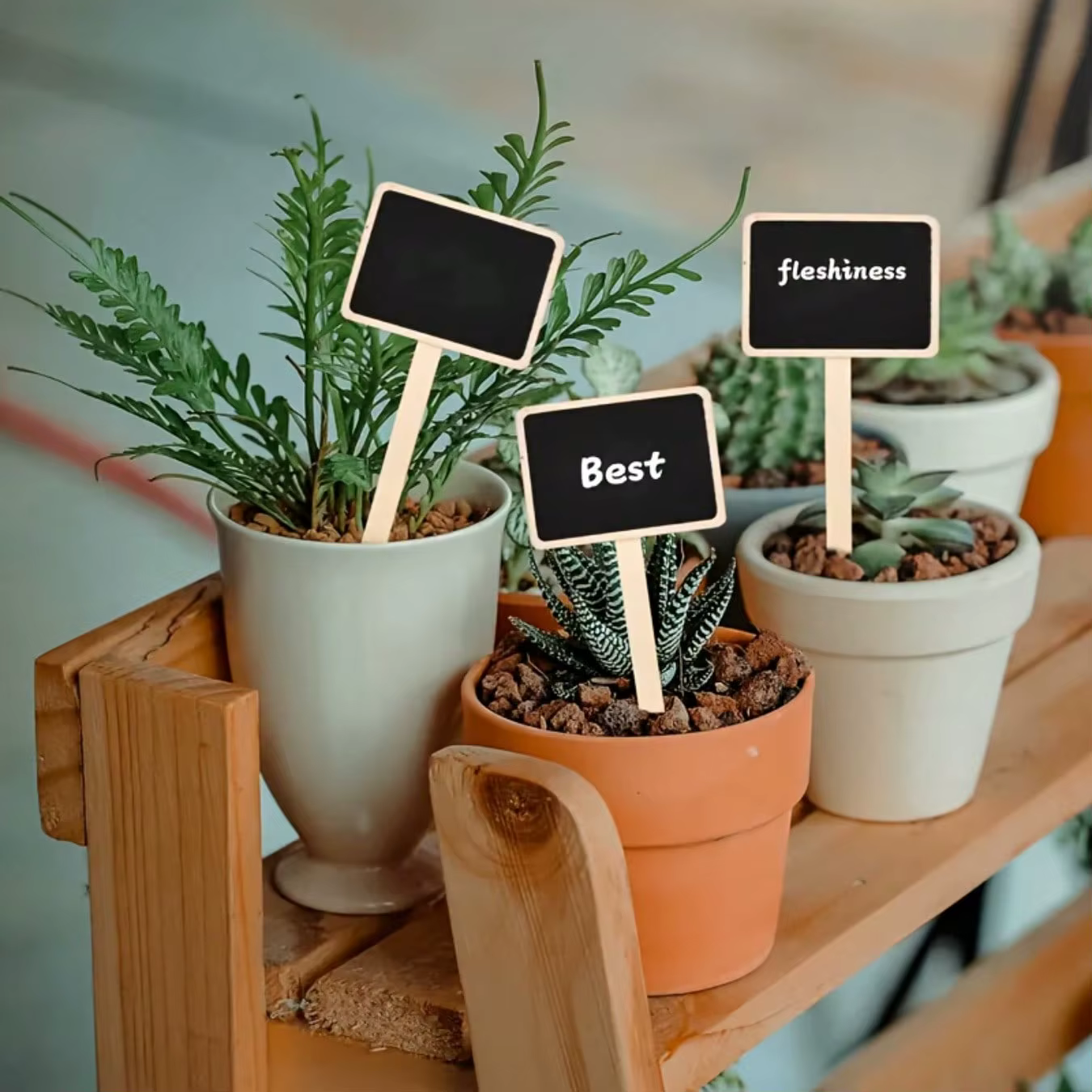 Ensemble de 10 étiquettes de plantes rustiques en bois