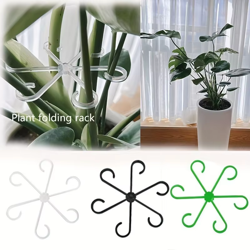 Support transparent pour plantes