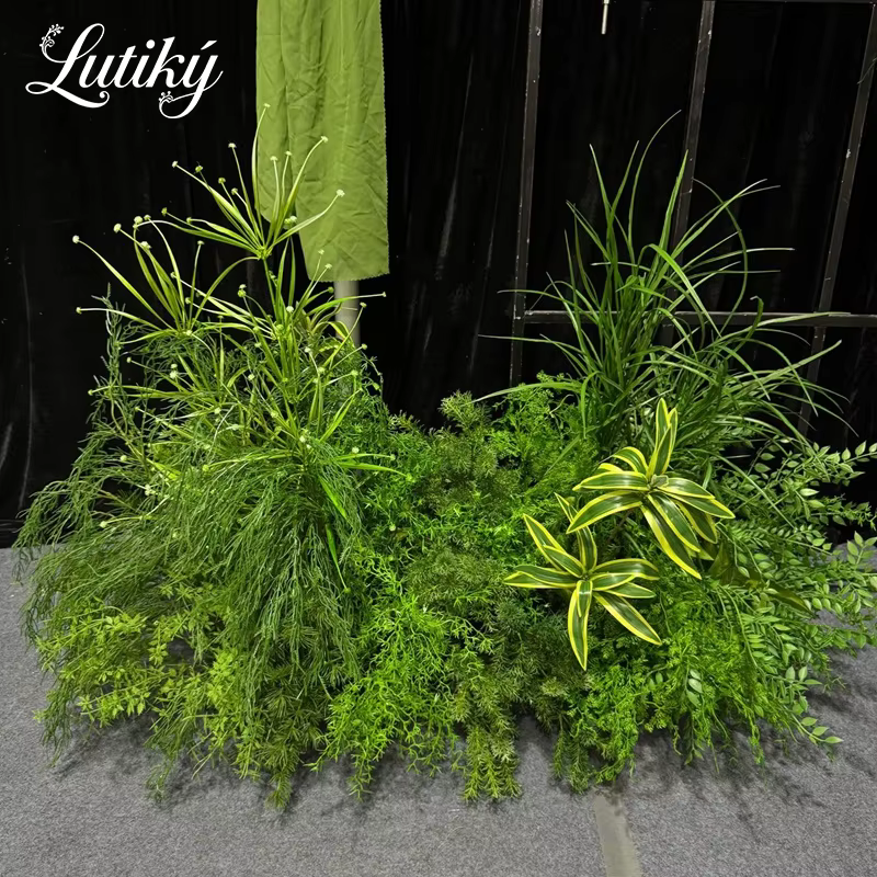 Série de plantes vertes d'extérieur