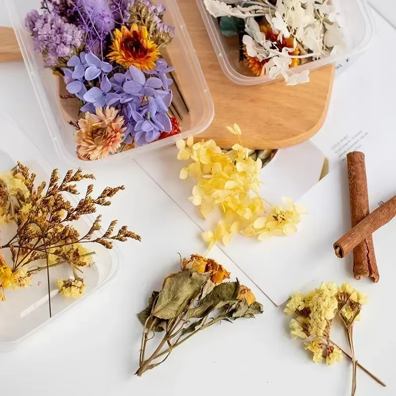 Plantes artificielles naturelles