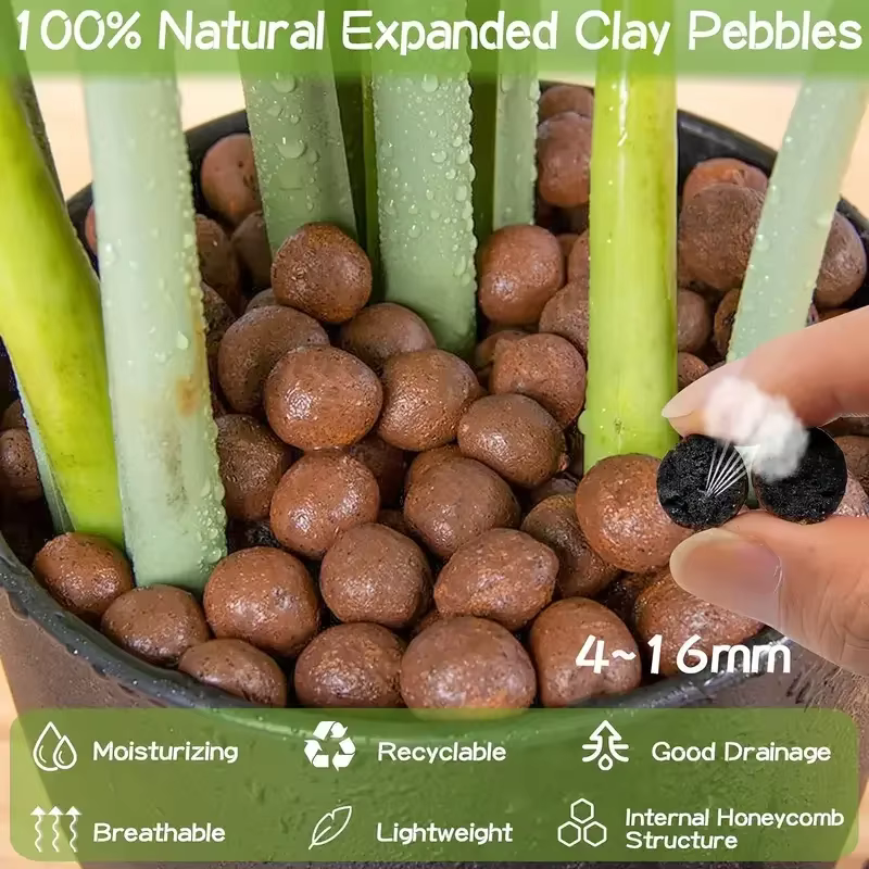Boules d'argile médicamenteuses élargies hydroponiques de jardin
