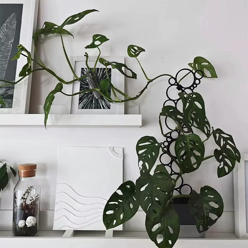 Support créatif en métal pour plantes en pot