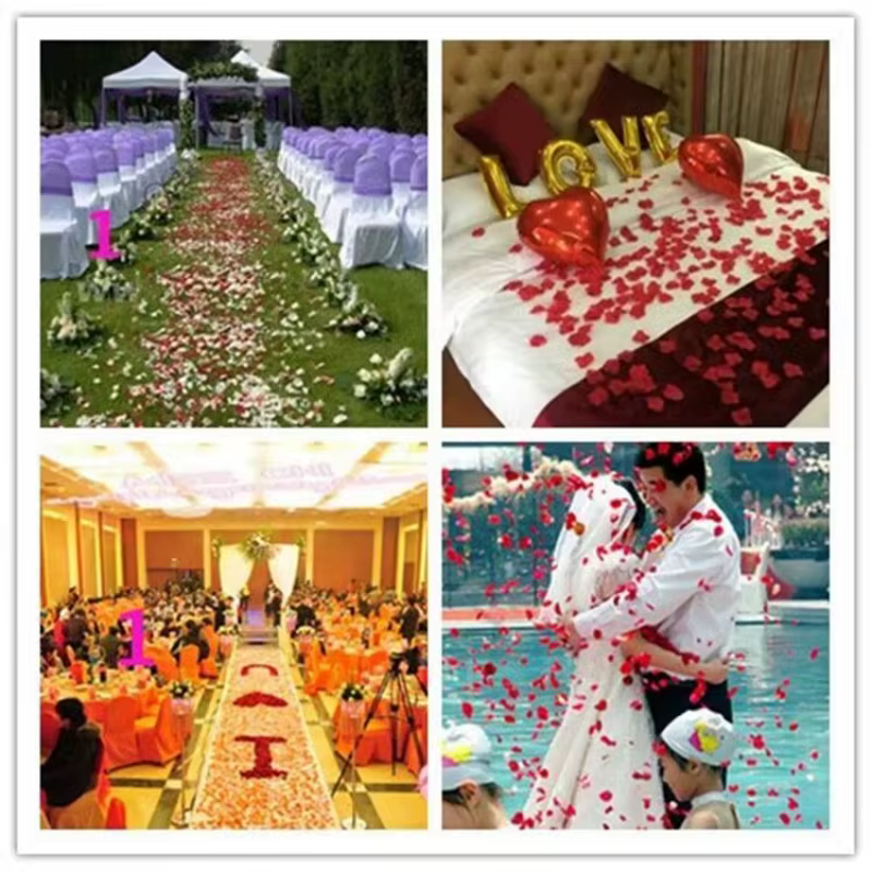 Décoration de mariage haut de gamme en pétales de rose naturels