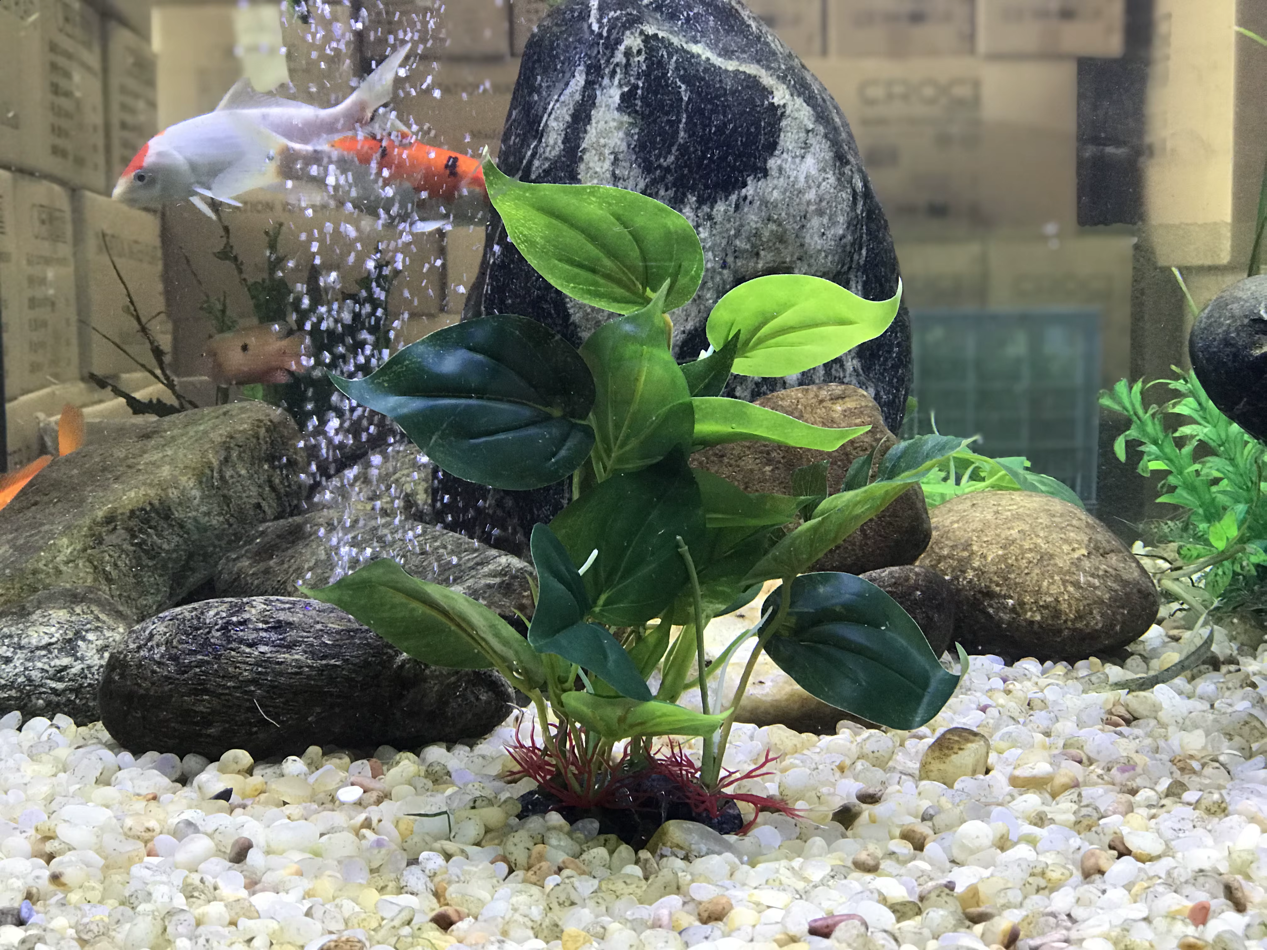 Plantes artificielles de décoration d'aquarium