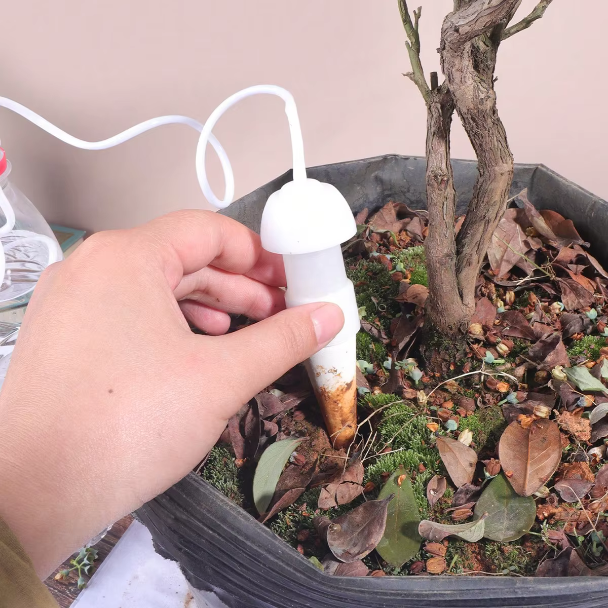 2/4 pièces Arroseur automatique en céramique pour plantes