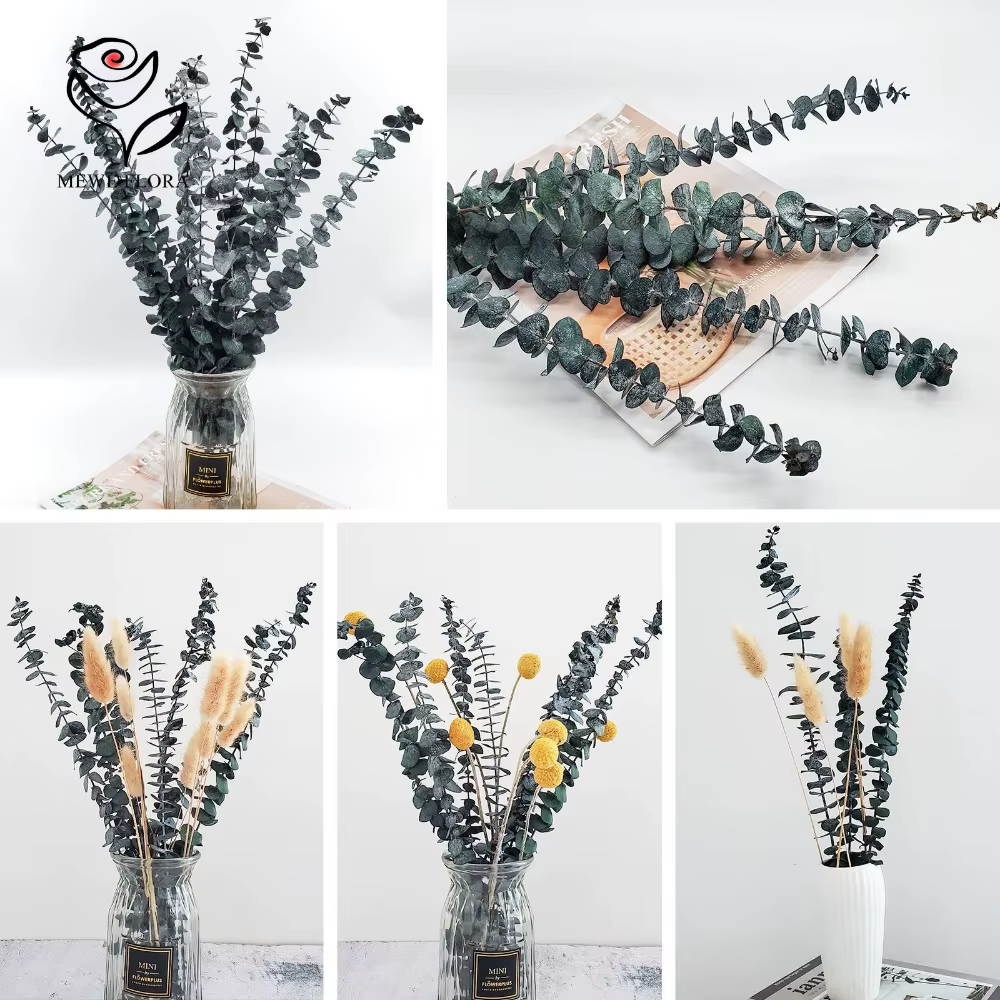 Bouquet de fleurs séchées naturelles d'eucalyptus