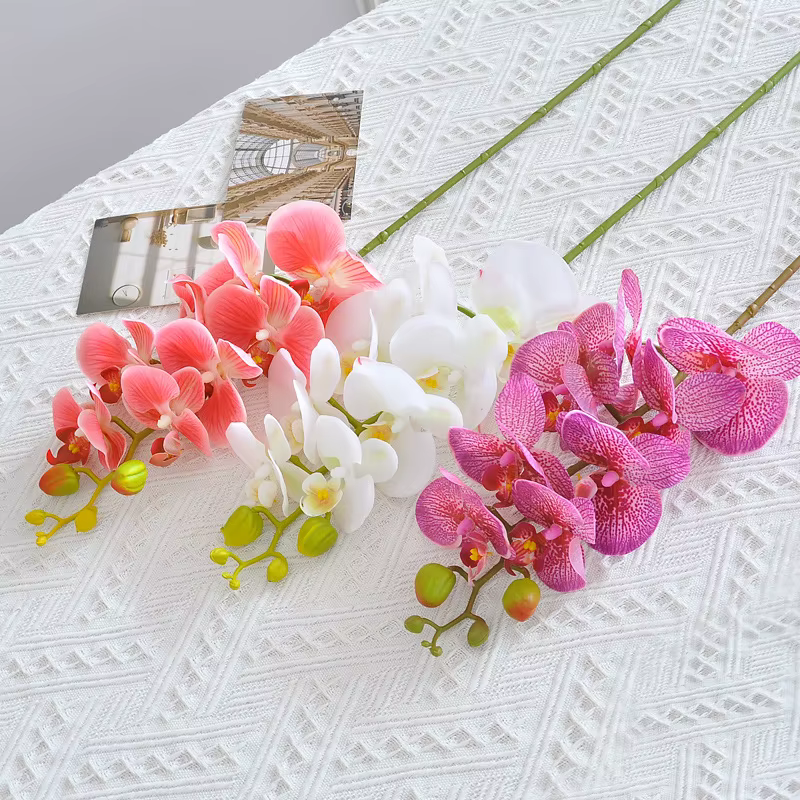 Branche d'orchidée hydratante