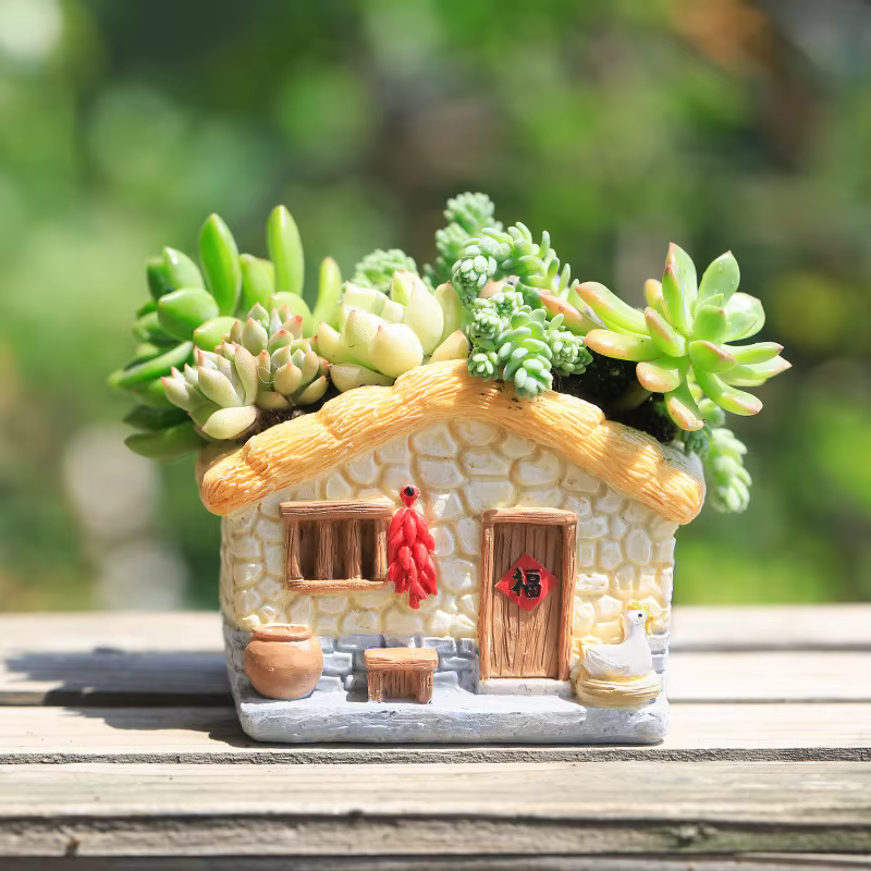 User inière de ferme vintage pour plantes à air succulentes