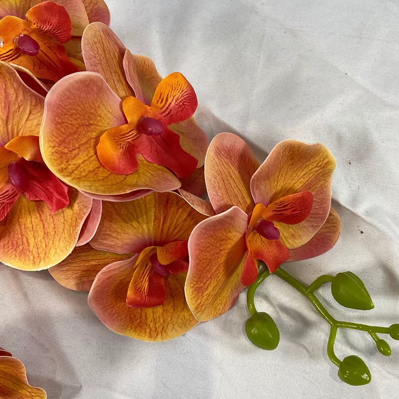 Orchidée papillon avec feuille
