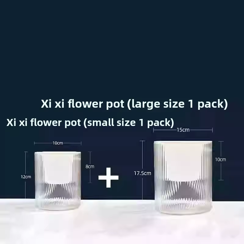 Pot de fleurs transparent en plastique à absorption automatique d'eau pour radis vert