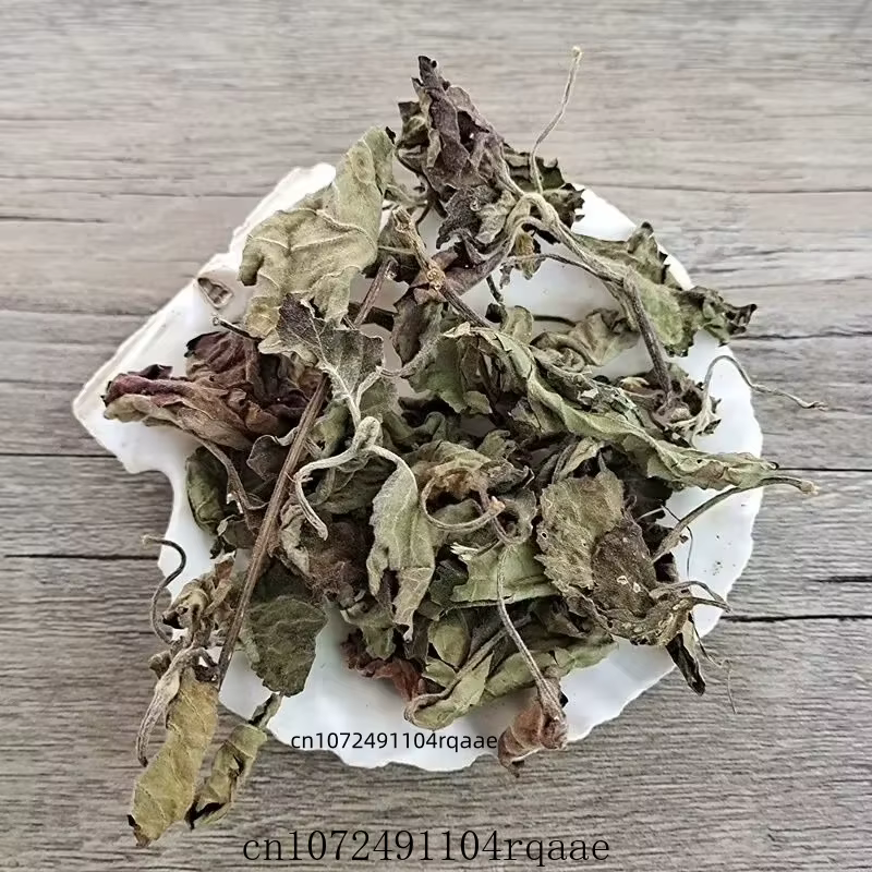 Feuilles d'Agastache Rugosa Séchées Naturelles Pures
