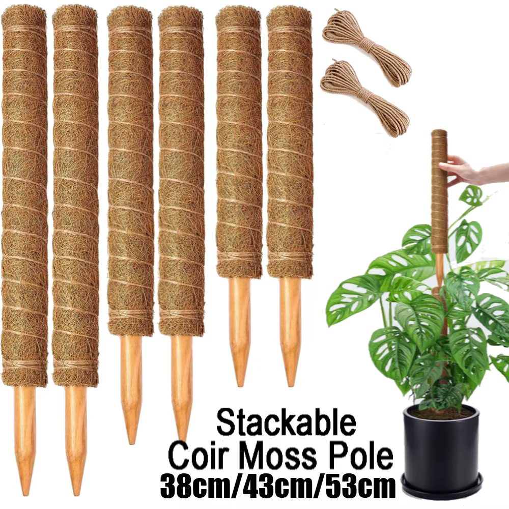 Lot de 4/8 piquets de soutien empilables pour plantes