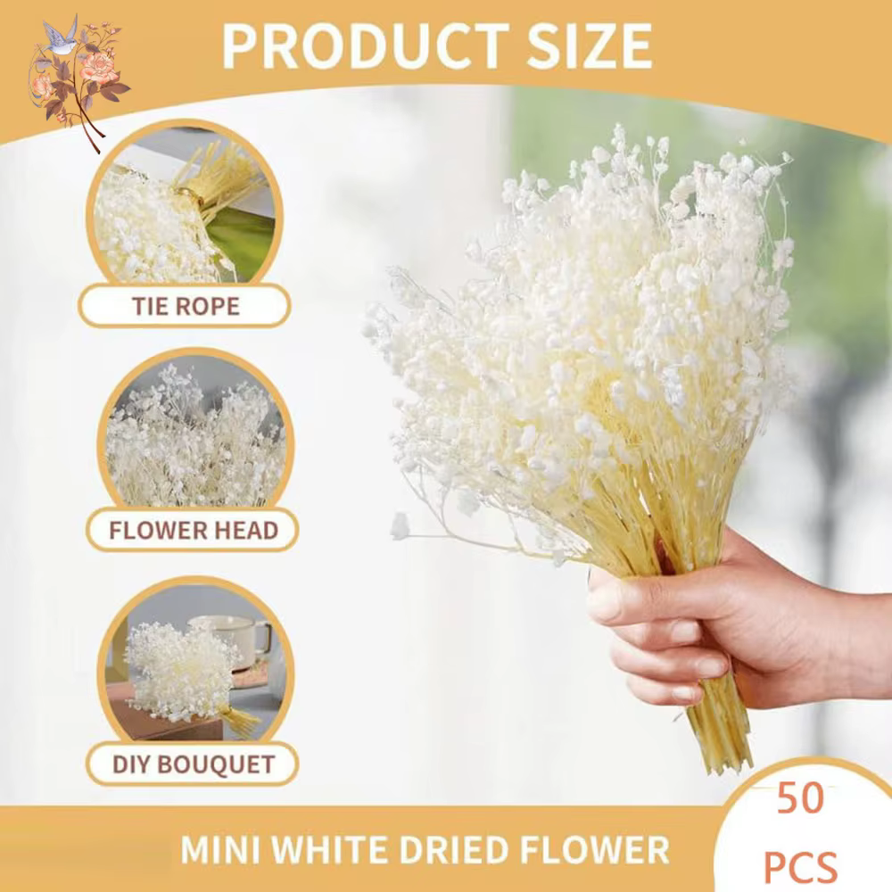 Mini-bouquet de 50 petites fleurs séchées de gypsophile blanches en vrac pour décoration rustique de maison