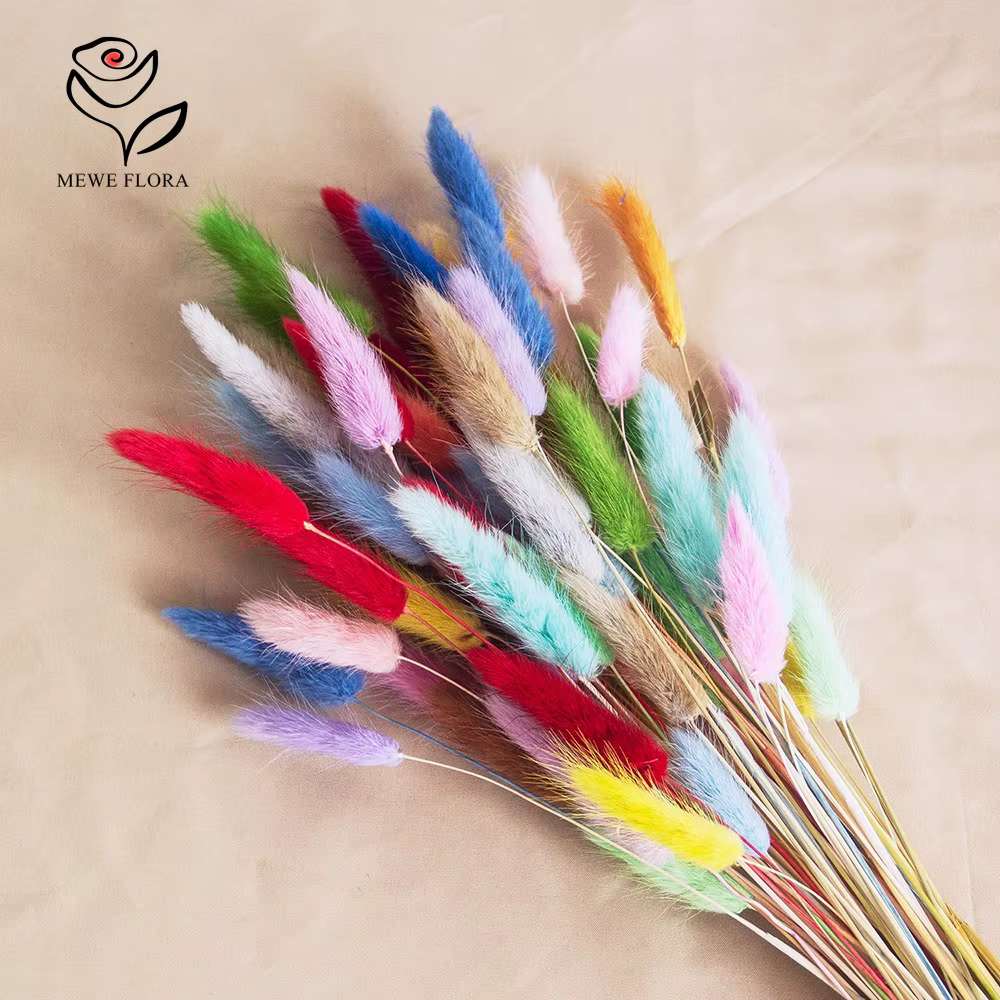 Vraies queues de lapin fleurs séchées mélangées 60 tiges Lagurus Ovatus herbe Pampas Bouquet pour mignon Boho maison mariage décor Photo accessoires
