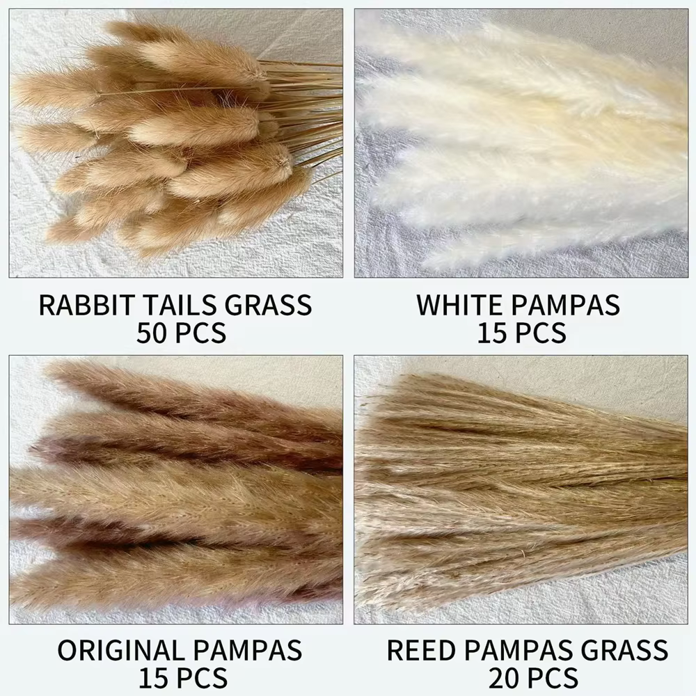 100 pièces/lot crème Pampas herbe moelleux chambre Phragmites décoration naturel lapin queue