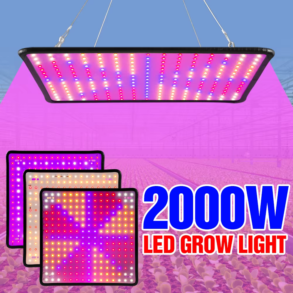 Phytolampe LED à spectre complet pour plantes